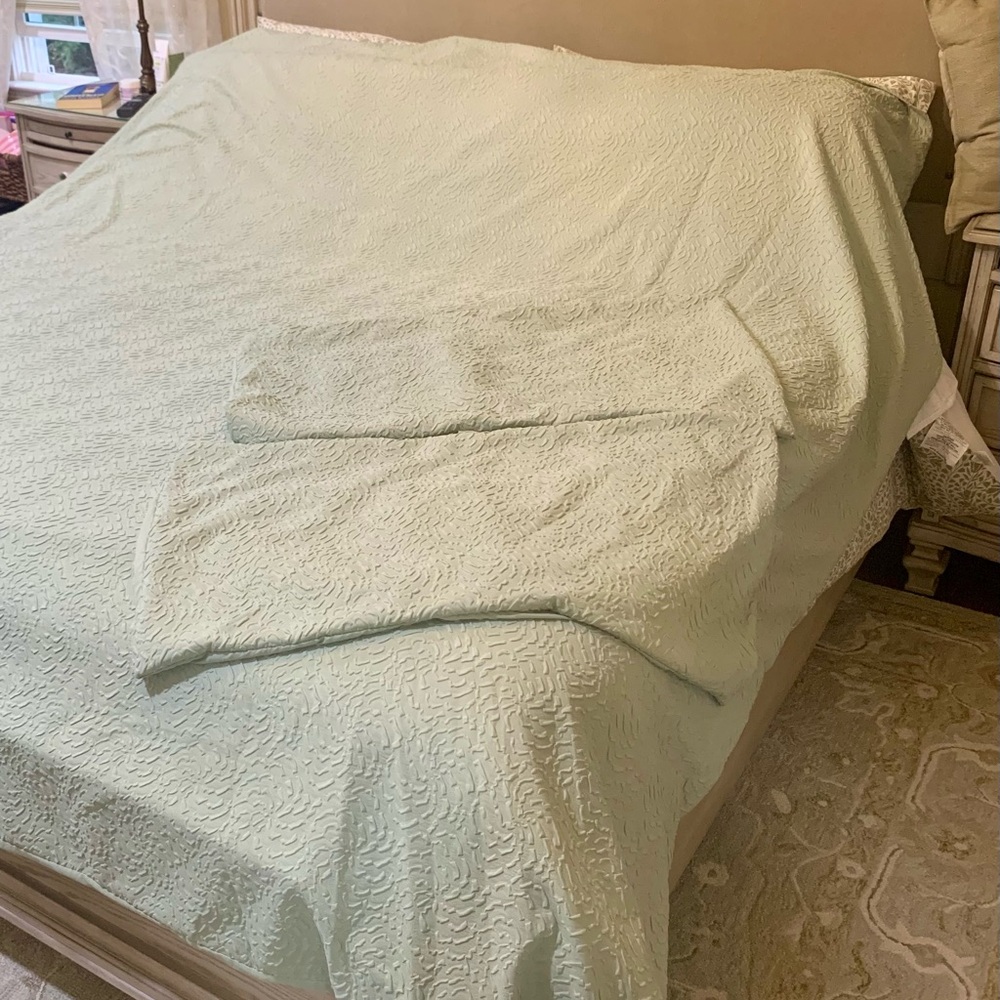 DKNY Soft Green Duvet Cover Set King Size